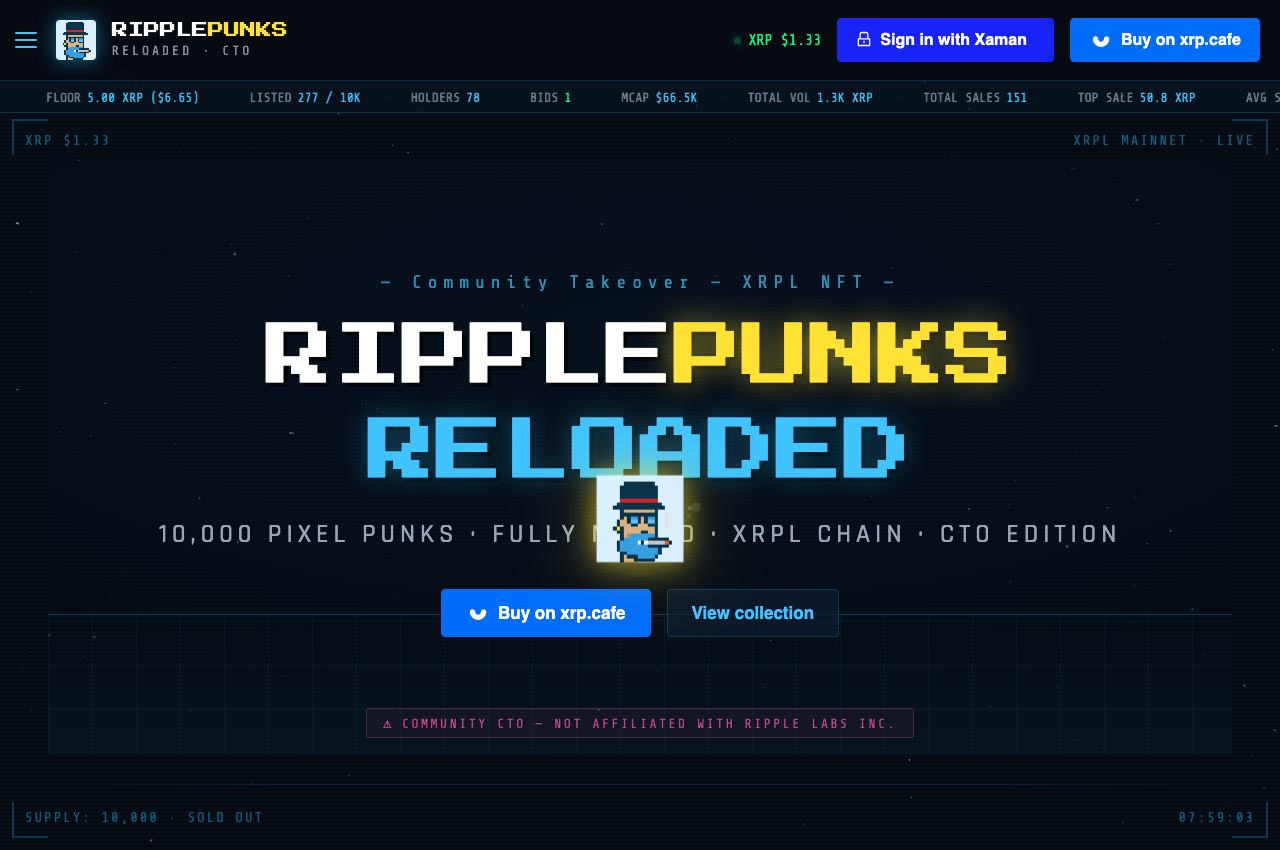 RipplePunks analytics website